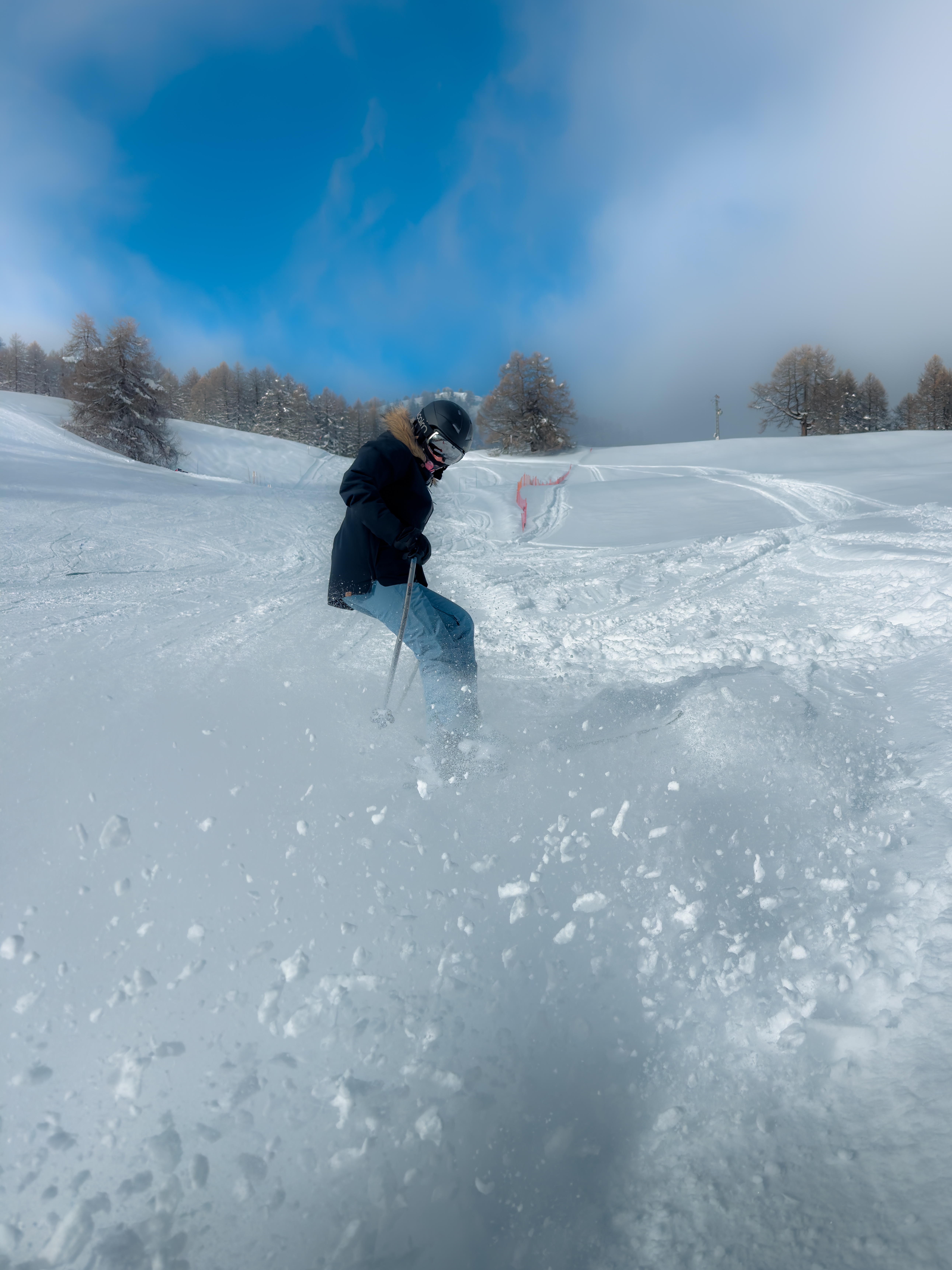 Skieur poudreuse 1