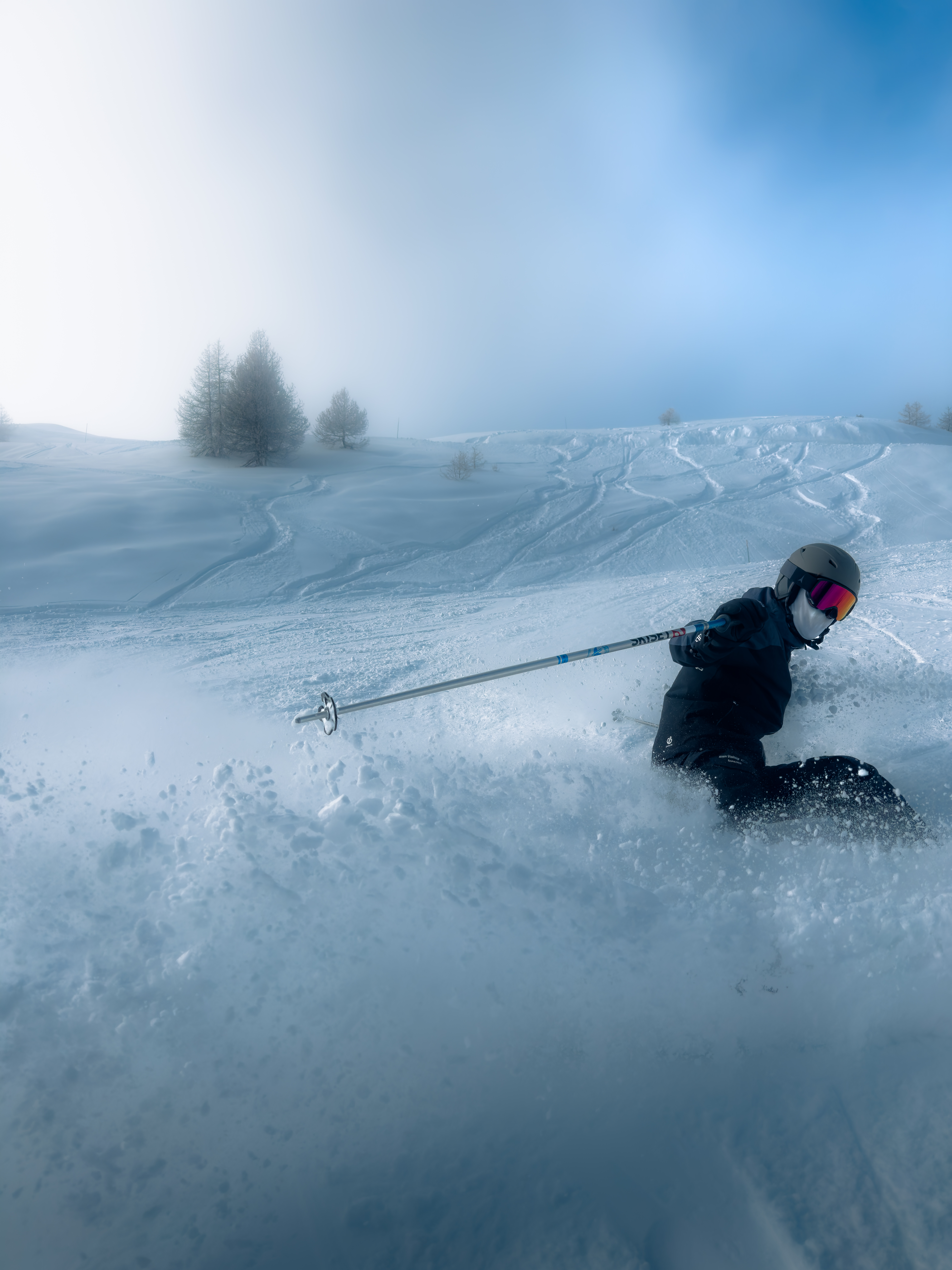 Skieur poudreuse 2