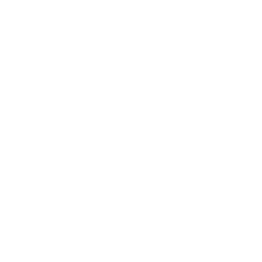 FISE Montpellier