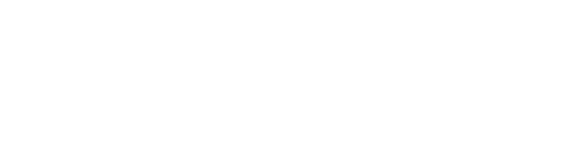 Running Conseil