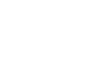 Wildrunn