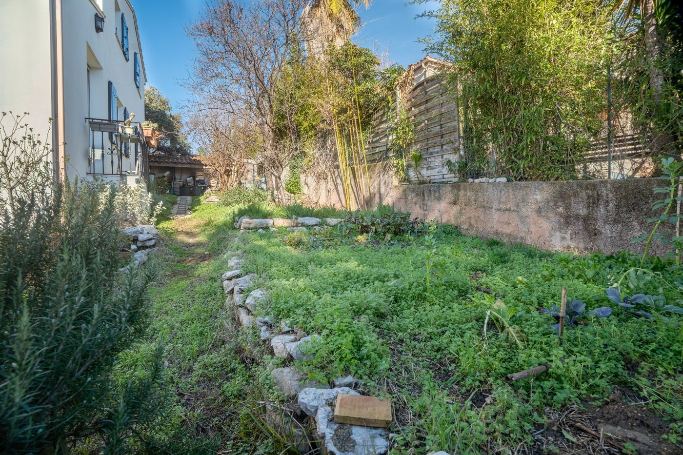 Jardin avant