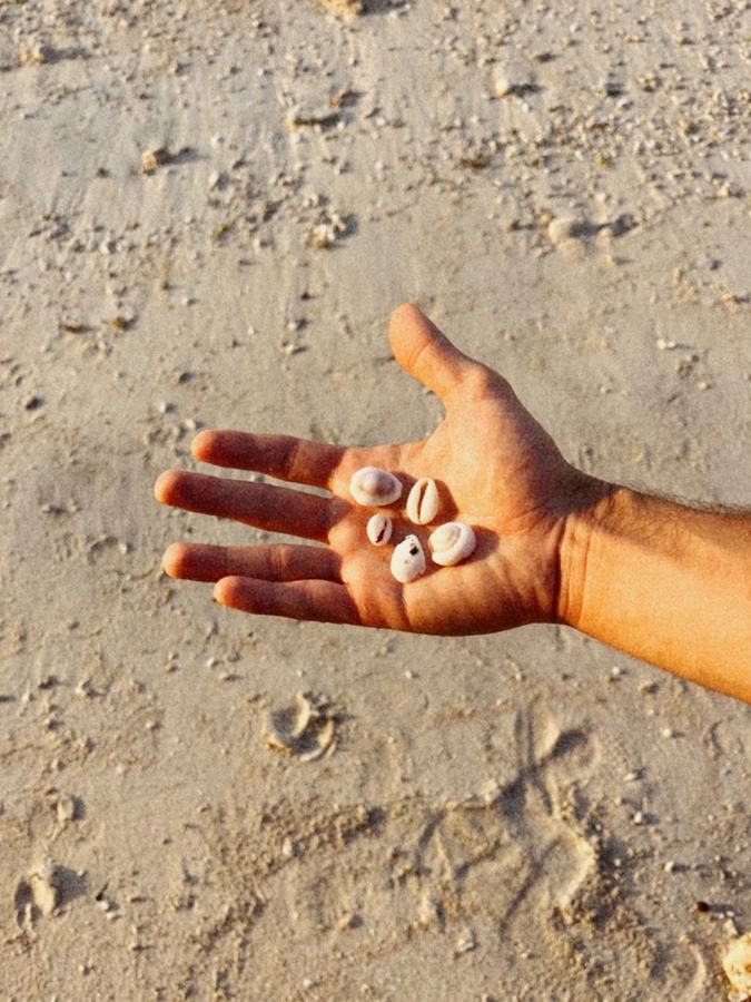 Main tenant des coquillages sur le sable d'une plage de Bali